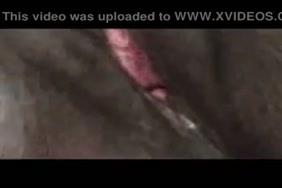 Xvideos.kahba