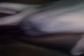 Porn japones mp4