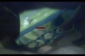 Animauxlifam