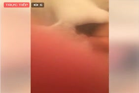 Les photo porno avec des anemeaux
