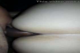 Chameau sex famme
