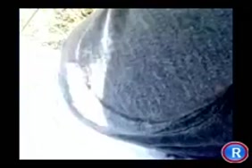 Porno femme noir ejaculation avec un animal
