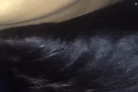 Tellechargement de xxl video