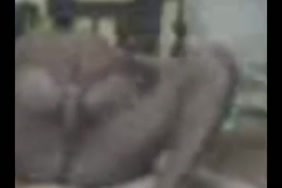 Porno disain animi histoir