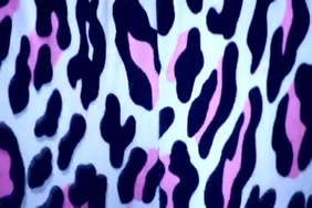 Sex animaux de compagnie