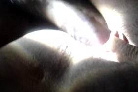 Farida.xxx.sixo