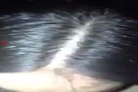 Porno image arabe