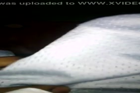 Vidéo animaux porno