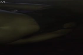 Xnxx.fra