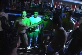 Grosvagins senegalaises