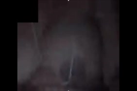 Porno video chien et l�ne
