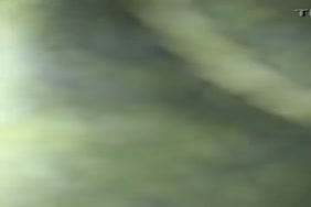 Animal sex mp4