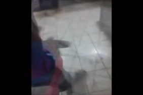 Sixs gay afrik animal porno