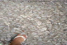 Xvidioxx,