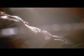 Porno arabe robi
