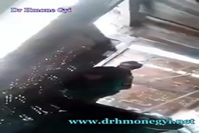 Xporno fame matu gro sin a telhage mp3
