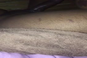 Sxs porno moritania