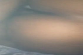 Le chien baise femme qorno 3gq