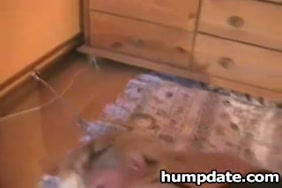 Porno on veux telechar