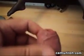 Porno de arafate