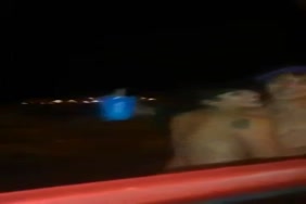 Porno videos de courtes duree
