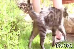 Les plus belle vidéos de femmes aux grosses fesses nus