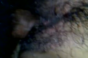 Porno xxi animaux gorille et la femme