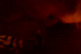 Sex porno bnat masreya