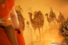 Pornou famme animalle