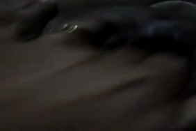 Porno bnat la fak