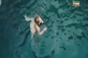 Porno xxl gross fame italia