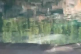 Www.com vidyo xikx 18 sana