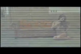 Porno senegalaise francais