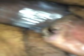 Pornoxx x les femmes courte