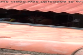 Porno animal sx xnxx
