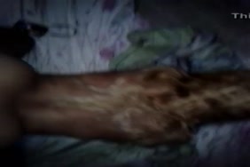 Sexanimalpage,5