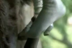 Porn sex la louviere