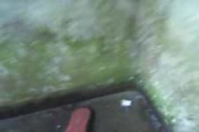 Porn phonerotica f av son cheval