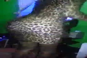 Videos pirno en boite de nuit
