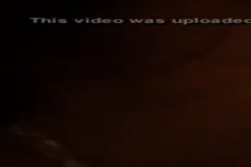 Xnxx avece un cheval