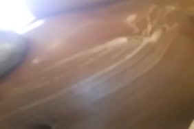 Film sexy les filles aux plus grosses fesses du monde