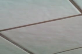 Xxxx video mp4