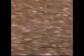 X.w.x.sex porno.arabi