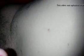 You porn avc animaux