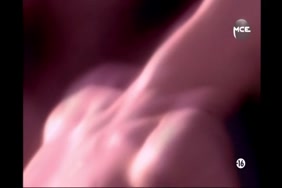 Video gratuites de zob frotte un vagin