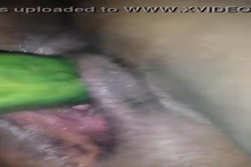 Video animale poranou