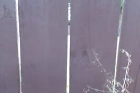 Vidéo porno allaitement