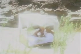 Xnxx sex fame avec animal
