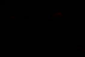 Photp porno le plus chaud du monde