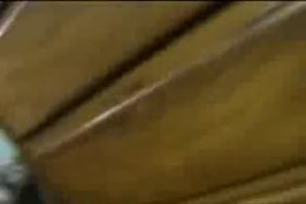 Xnxx tilichargi gratoui